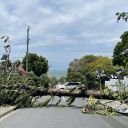 Suncorp Storm Season