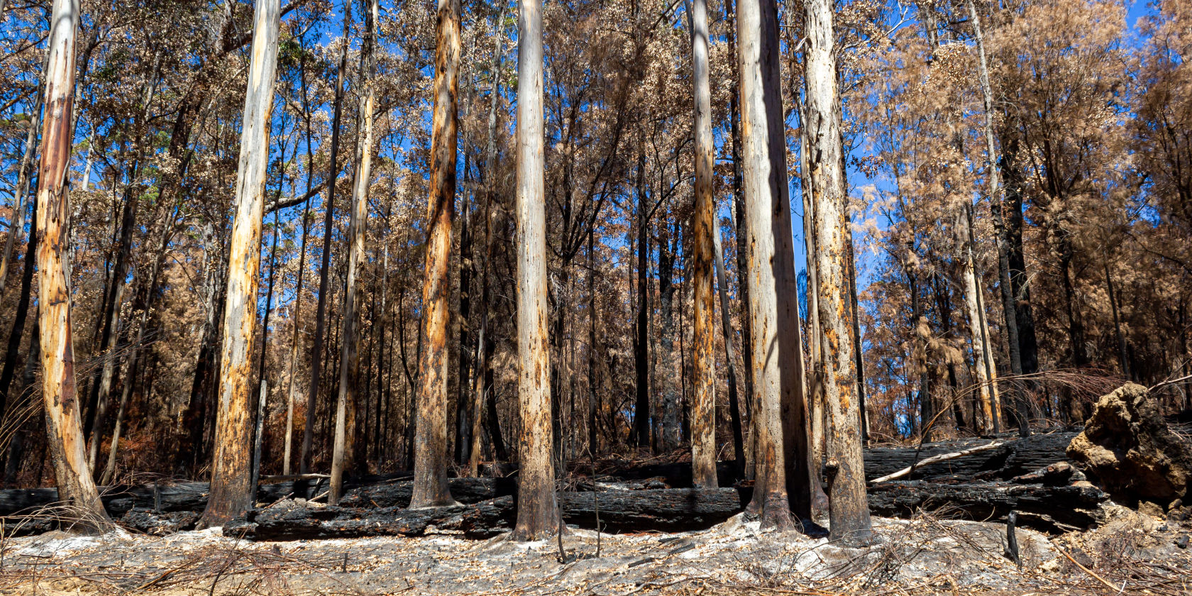 Suncorp Group supports customers in the aftermath of extreme weather events