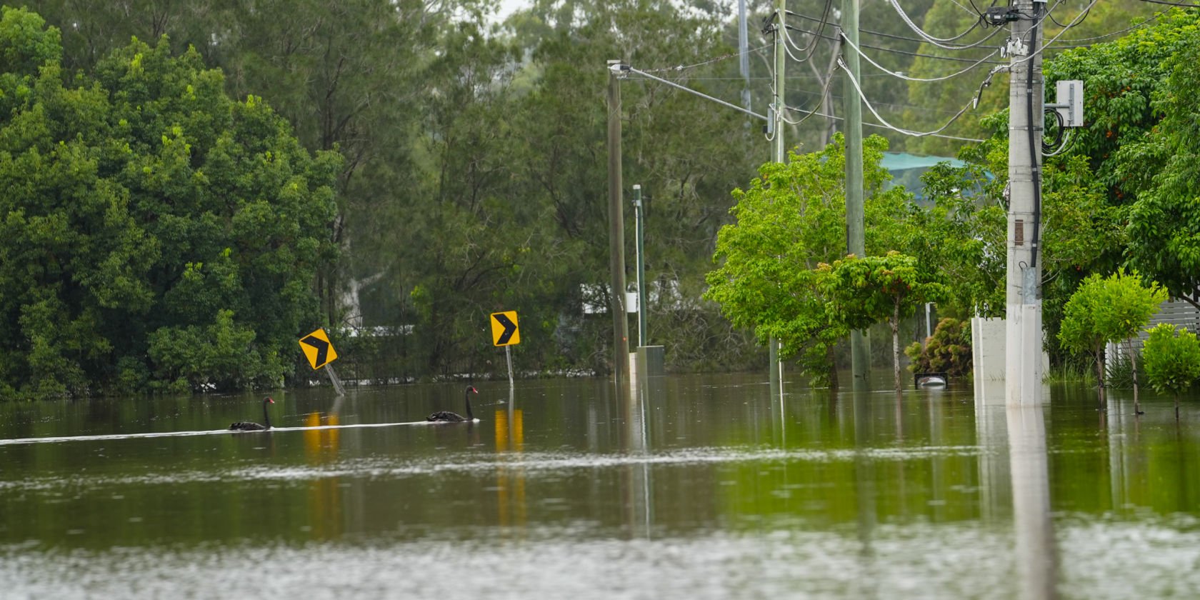 From the CEO: Mud, trauma, and the underestimated cost of flooding