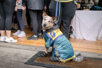 Nala the accessibility dog lends a helping paw at Melbourne Spirit to Cure 