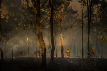 Suncorp ready to support bushfire-affected customers