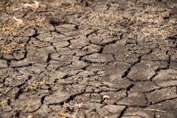 Feast to famine | How Australian farmers are tackling the worst drought in a century