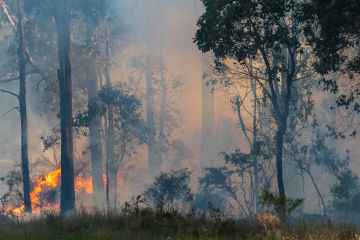 Financial assistance package to help bushfire affected customers