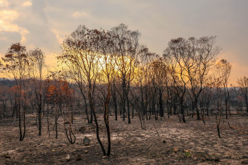 Suncorp assisting bushfire-affected customers across Australia