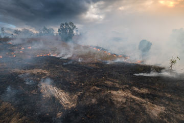 Suncorp Group announces bushfire claims update