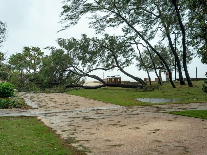 Suncorp is scaled up and supporting customers impacted by ex-Tropical Cyclone Alfred    